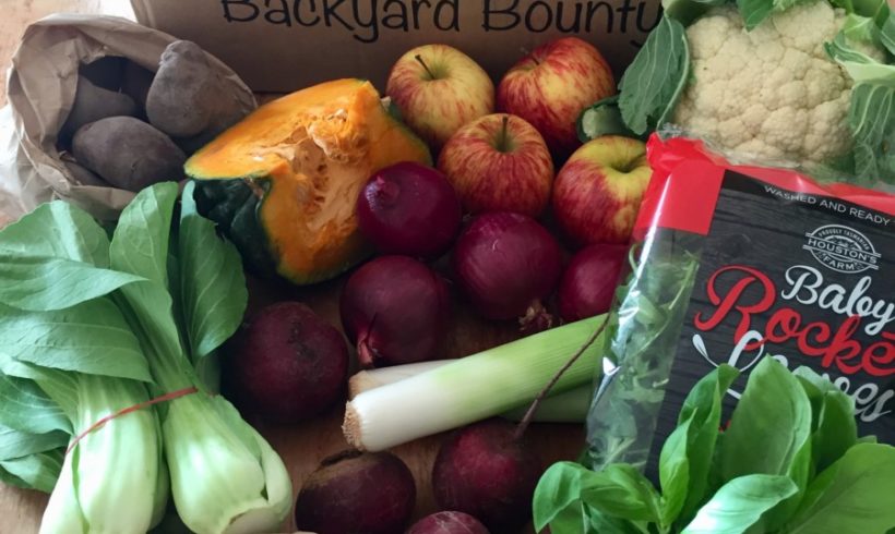 Backyard Bounty all-Tasmanian Vegie box: 3rd August
