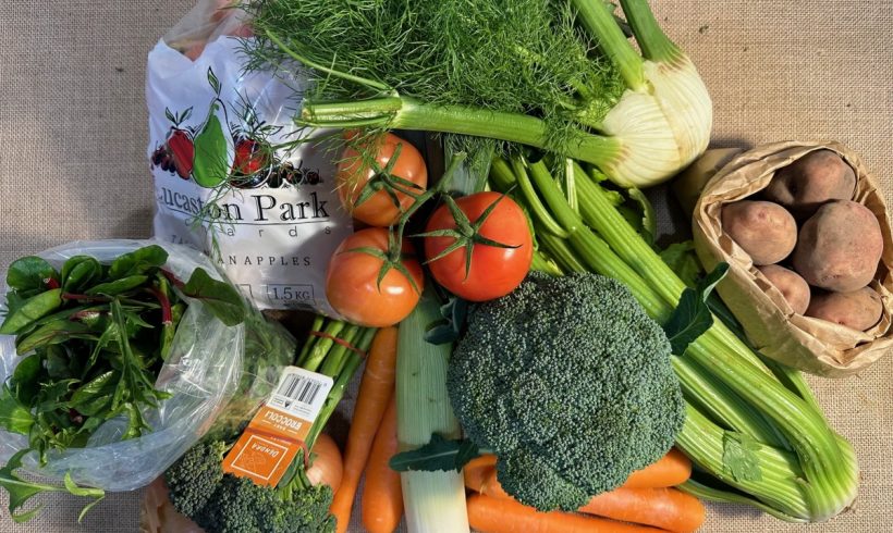 Backyard Bounty all-Tasmanian Vegie Box: 19th July, 2024