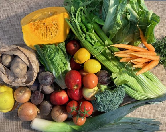 Backyard Bounty all-Tasmanian Vegie Box: 16th August