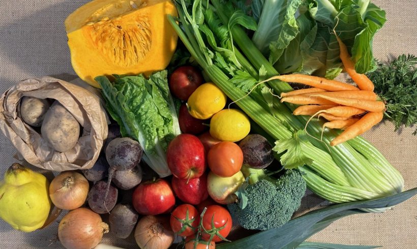 Backyard Bounty all-Tasmanian Vegie Box: 16th August