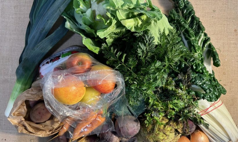 Backyard Bounty all-Tasmanian Vegie Box: 2nd August